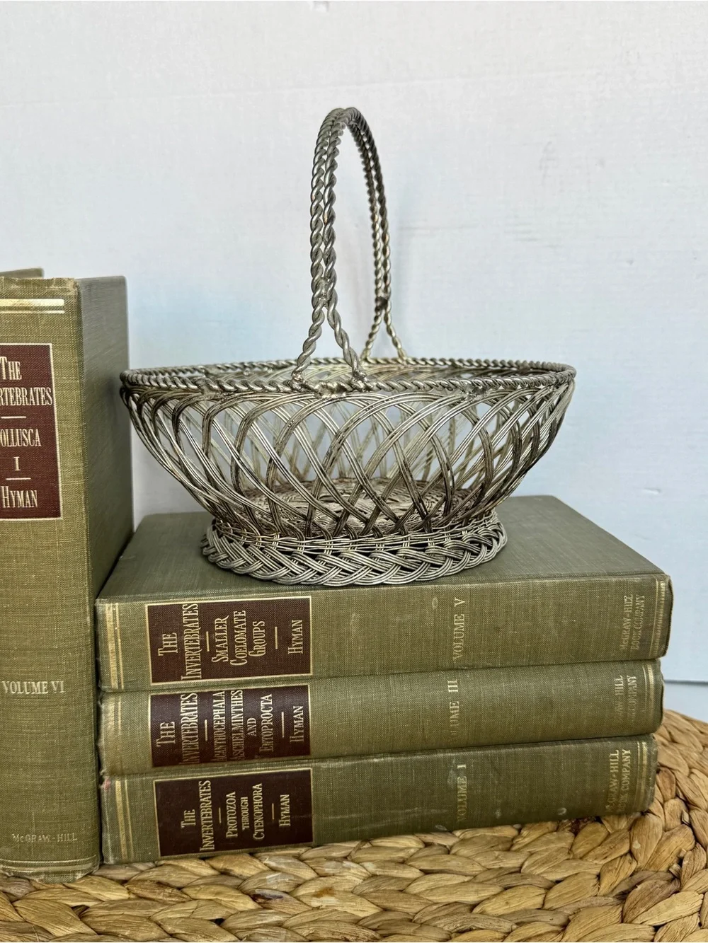 Vintage Silver Woven Wire Basket with Handle Decorative Home Accent
